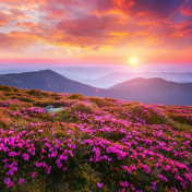 Природа Краснодарского края